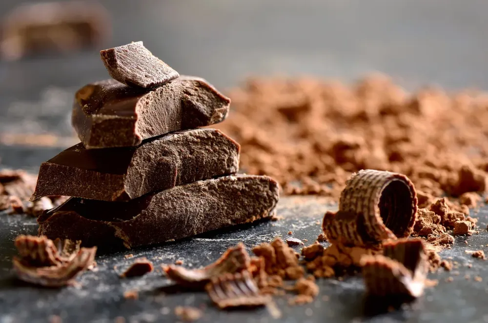 Chocolat artisanal bio près de Foix