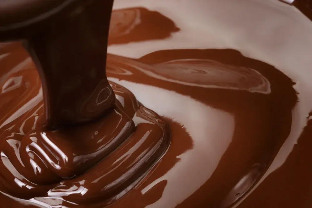 Chocolaterie artisanale près de Foix
