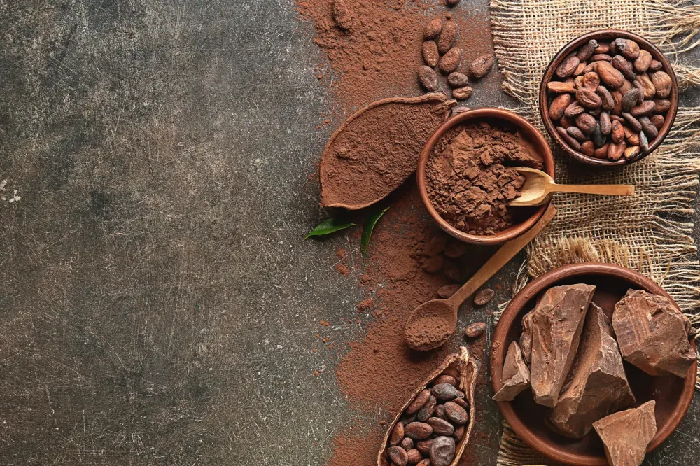 Chocolaterie bio près de Foix